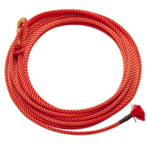 What to look for in a Lasso – Zapphire Stud What to look for in a Lasso – Zapphire Stud