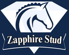 Zapphire Stud